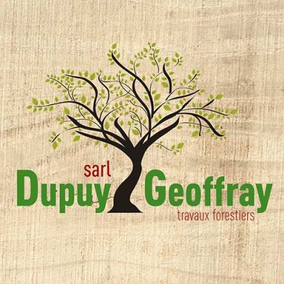DUPUY GEOFFRAY logo